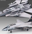 Grumman-F-14-Tomcatjpg