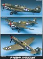 P-40-Warhawk-1-72.jpg