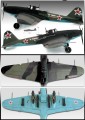 Ilyushin-IL-2M-Sturmovik-1-72.jpg