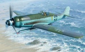 Focke Wulf Fw190D-12 R14 1:48, Hobby Boss 81720