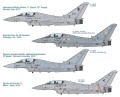 1340-Italeri-EF-2000.jpg