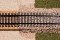 61830_1.jpg