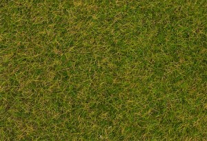 Trawa elektrostatyczna, łąka na początku lata, 4 mm, Faller 170206, 30 g