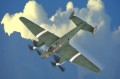 80296_1.jpg