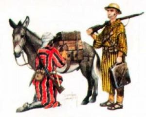 Piechota Marokańska 1:35, SK-Model POLS 1120