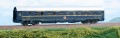 51007_1.jpg