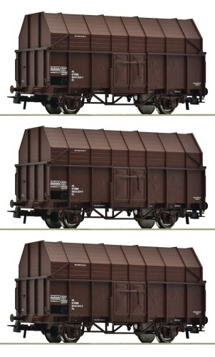 6600056.jpg