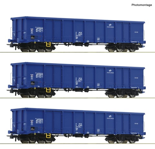 6600100.jpg