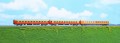 55310.jpg