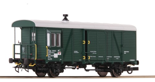 6200177.jpg