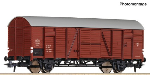 6600187.jpg