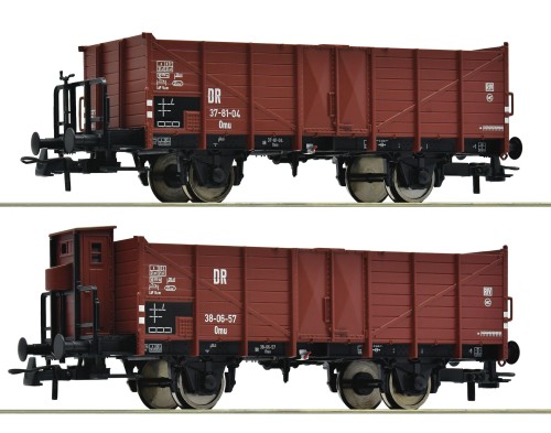 6600253.jpg