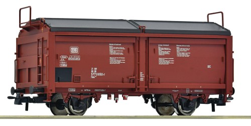 6600264.jpg