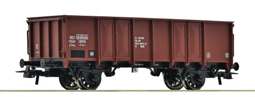 6600281.jpg