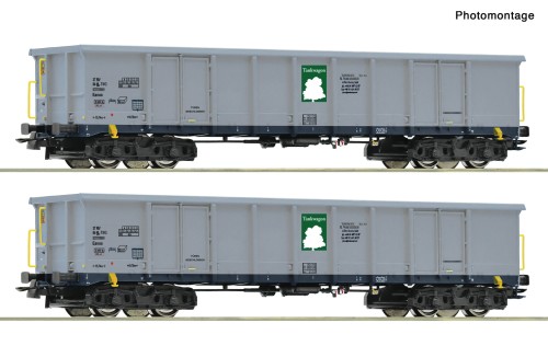 6600295.jpg