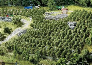 Winorośl H0-TT-N, Faller 181490, 36 szt., 30 mm, NA ZAMÓWIENIE