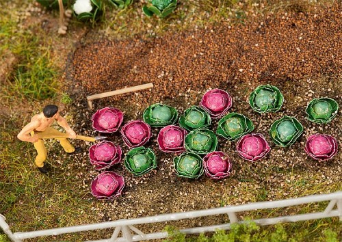 Faller-181263 Kapusta-H0