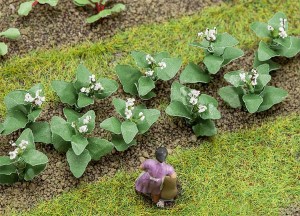 Rośliny tytoniu H0-1:87, Faller 181275, 14 szt.,19 mm, NA ZAMÓWIENIE 