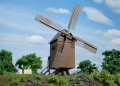 Auhagen-13282