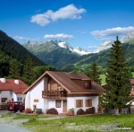 Dom wiejski Anemone H0-1:87, Vollmer 49254