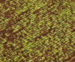 Pole uprawne H0-TT-N segment krajobrazu, Faller 180471, NA ZAMÓWIENIE