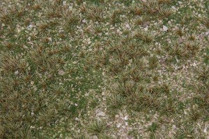 Dzikie zioła na łące H0-TT-N segment krajobrazu, Faller 180479, NA ZAMÓWIENIE