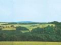 Auhagen-42512.jpg