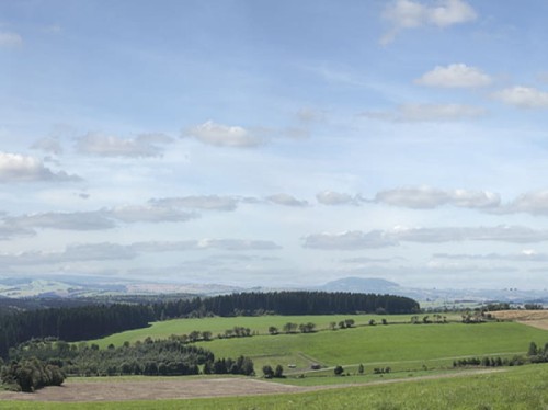 Auhagen-42515.jpg